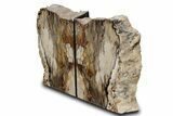 Polished Petrified Wood Bookends - Washington #382139-1